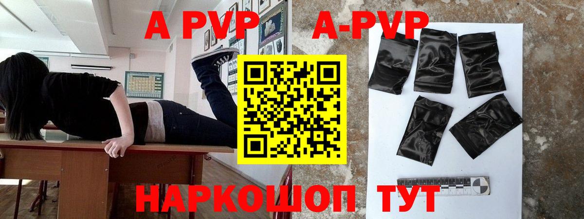 A PVP СК Фрязино