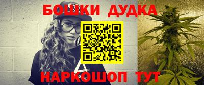 стафф Новодвинск
