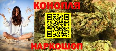 соль ск Новозыбков