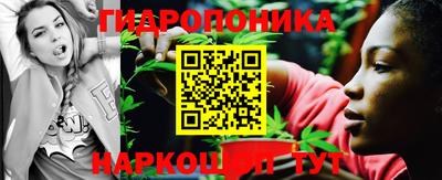стафф Новодвинск