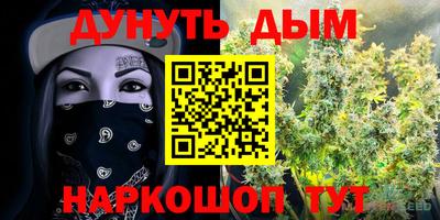 стафф Новодвинск