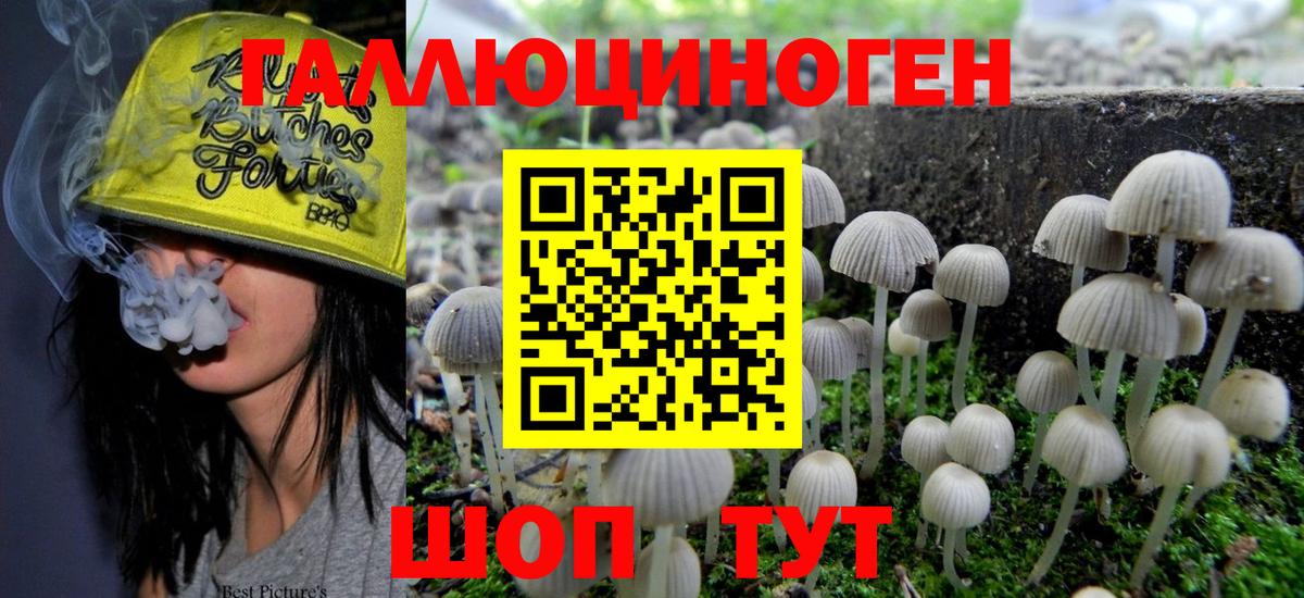 Псилоцибиновые грибы MAGIC MUSHROOMS  Вход с VPN  Фрязино  Псилоцибиновые грибы ЛСД 